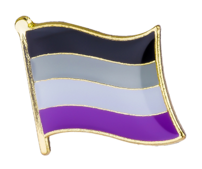 Asexual Pride Flag Brooch Pin