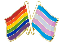 Rainbow & Transgender Pride Flags Brooch Pin